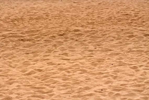 빅윈스 카지노 지원